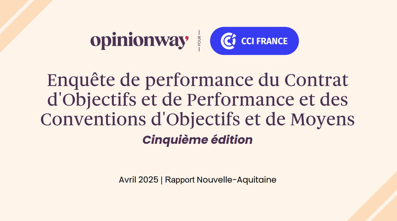 Mesure de la performance et de l'utilit&eacute; de l'accompagnement des CCI